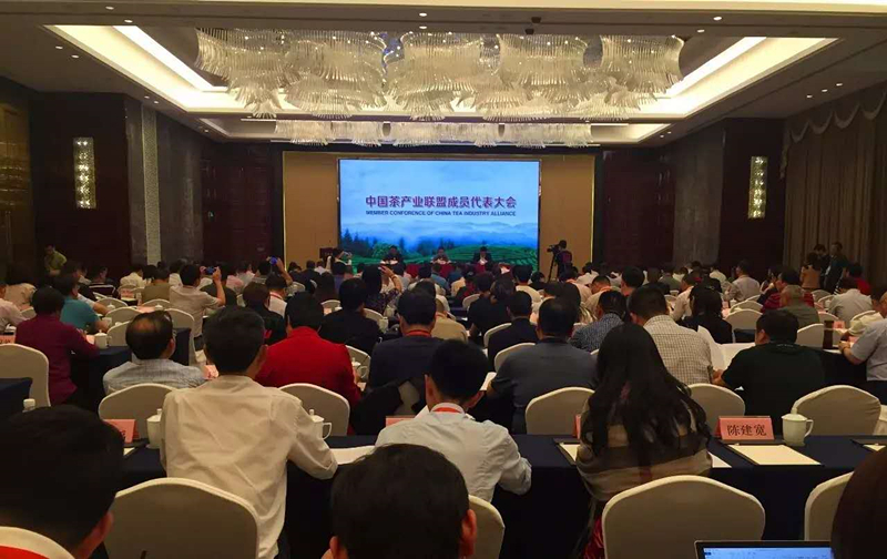 首届中国国际星空体育在线网址博览会系列报道之二         浙茶集团入选中国茶产业联盟副理事长单位