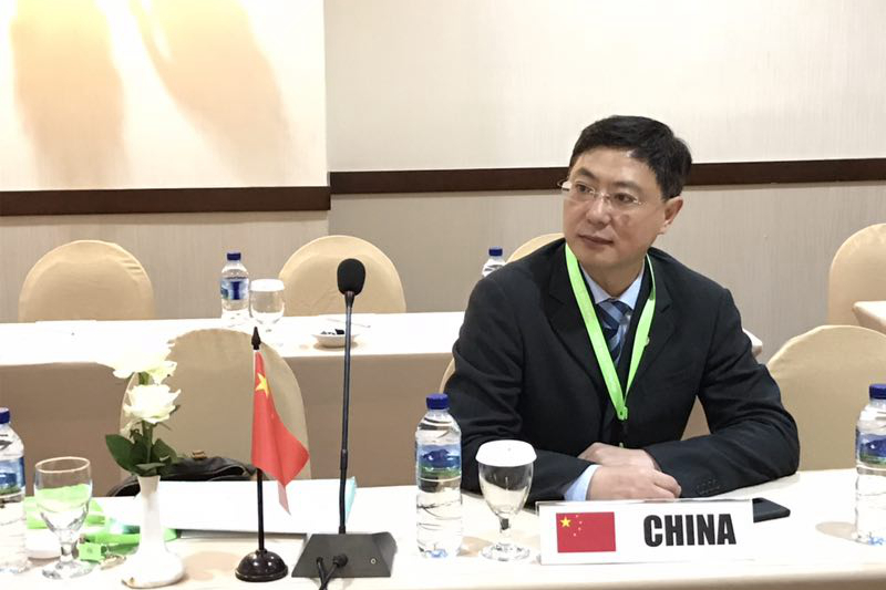 浙茶集团代表出席联合国粮农组织政府间星空体育在线网址工作组会议