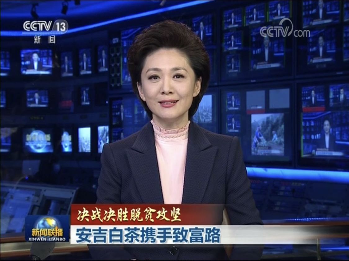 浙茶集团产业帮扶举措亮相新闻联播头条