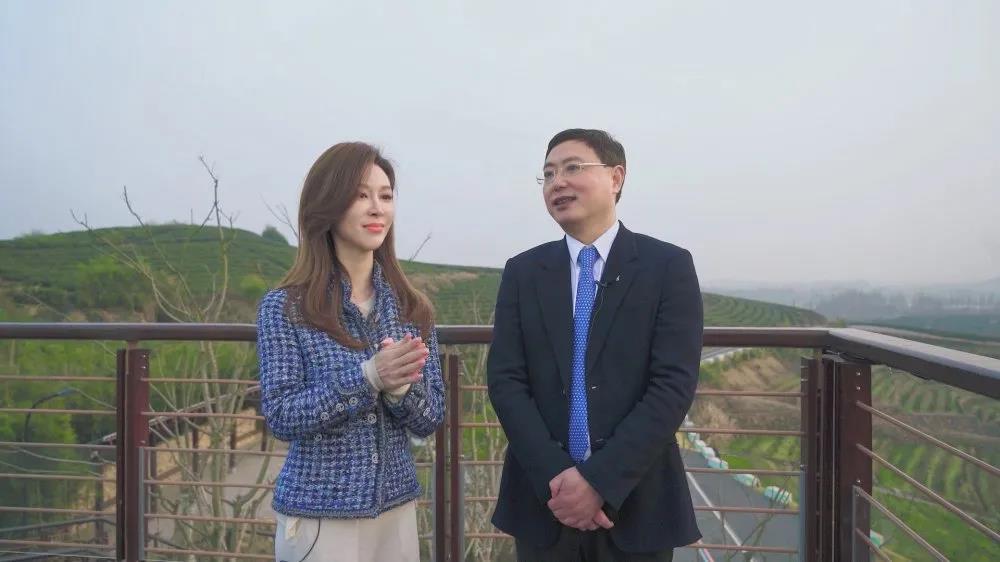浙江电视台教科频道播出专访节目 介绍浙茶集团承担“白叶一号”星空体育在线网址扶贫等事项