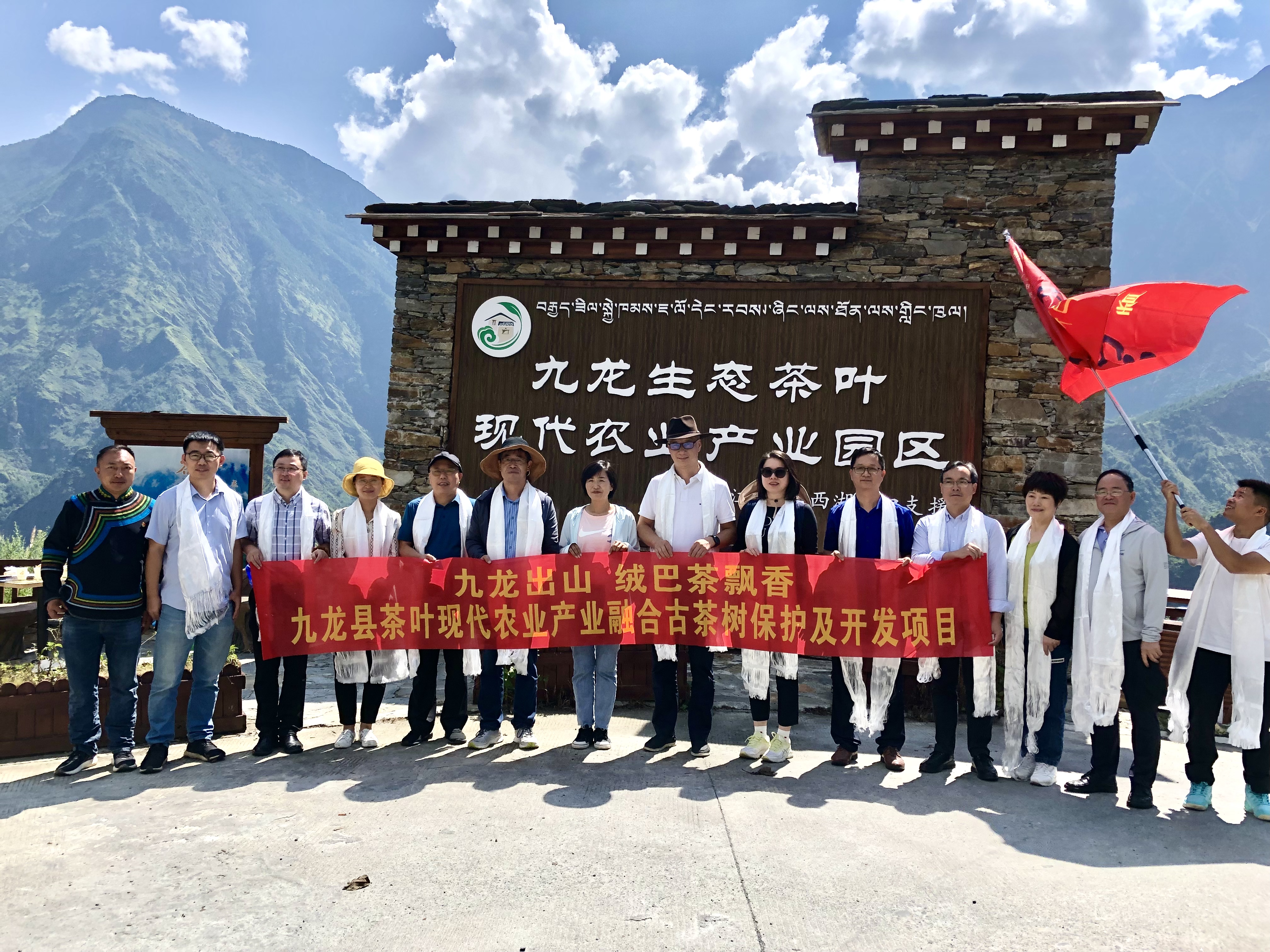 九龙出山·绒巴茶飘香——浙茶集团牵头实施九龙县星空体育在线网址现代农业产业融合示范项目古茶树保护及开发项目