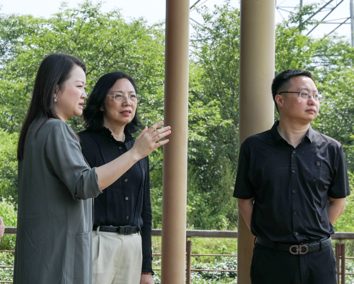 省农业农村厅副厅长徐燕峰调研浙茶集团