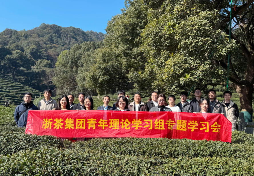 浙茶集团青年理论学习组深入学习贯彻党的二十届四中全会精神