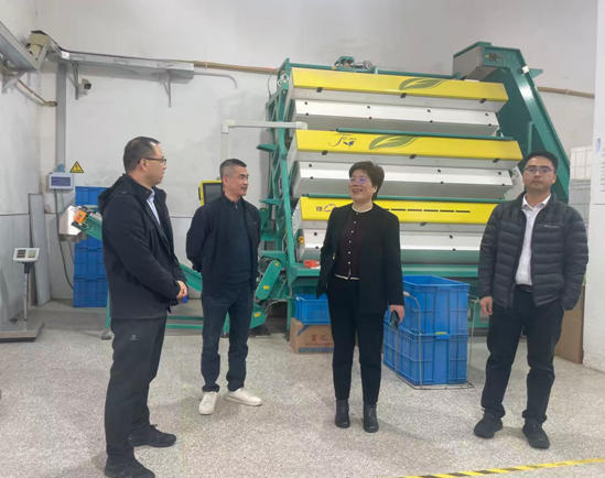 中华全国供销合作总社杭州星空体育在线网址研究所专家团队莅临狮峰茶业公司调研